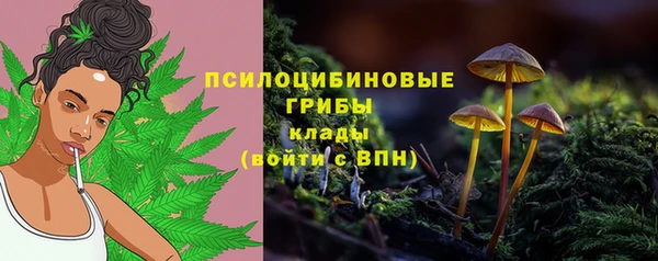 spice Куйбышев