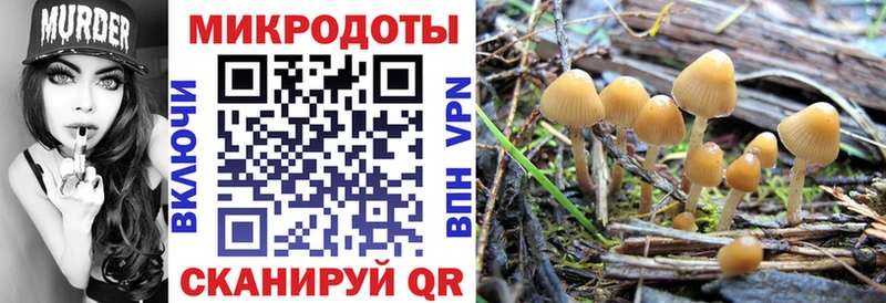 Галлюциногенные грибы ЛСД  купить наркоту  Галич 
