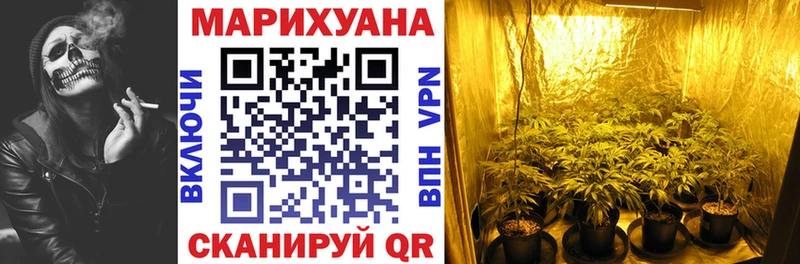купить закладку  Галич  Бошки марихуана план 